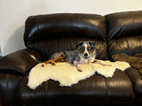 Large Sheepskin Dog Bed